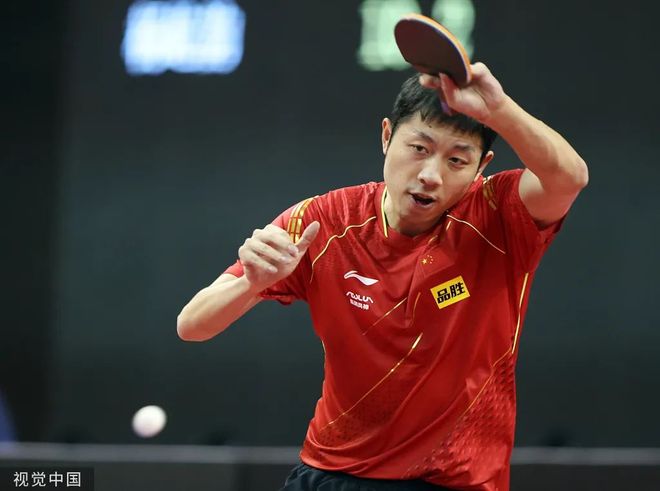 这头巨型公 这头巨型公