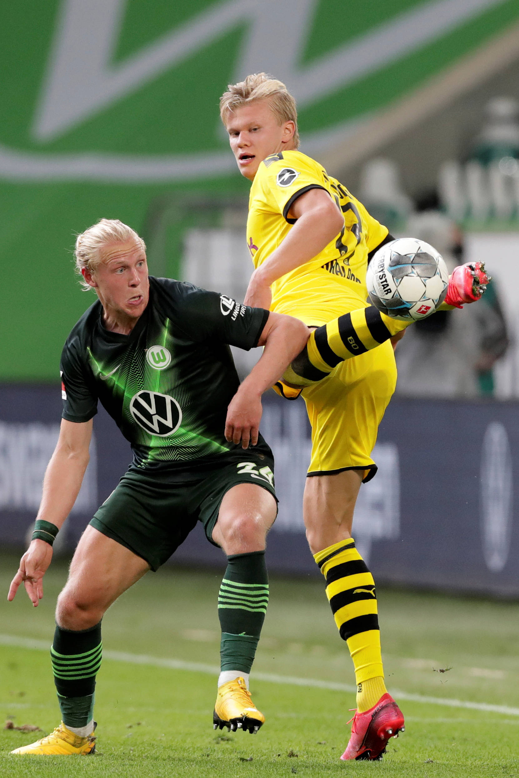 坚韧的防线 坚韧的防线